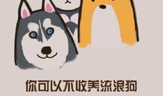 狗人漫画,幽默与智慧的碰撞